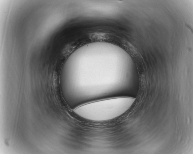 X0000099320760200805020753