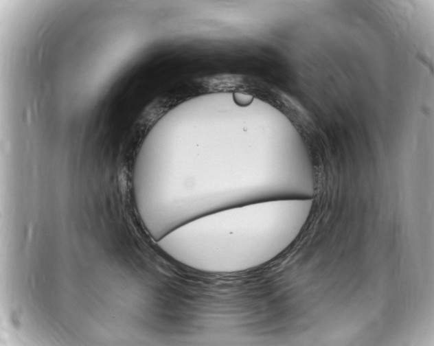 X0000099320761200805020753