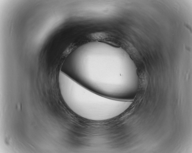 X0000099320762200805020753