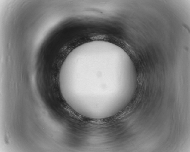 X0000099320763200805020753