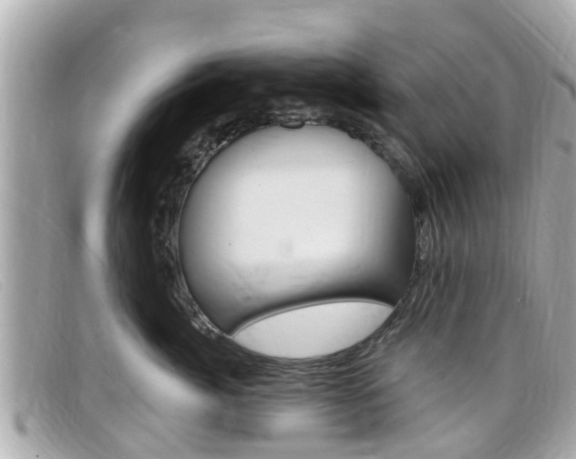 X0000099320764200805020753