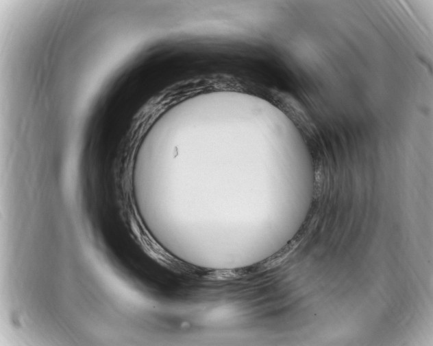 X0000099320765200805020753