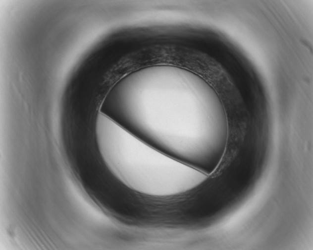 X0000099320766200805020753