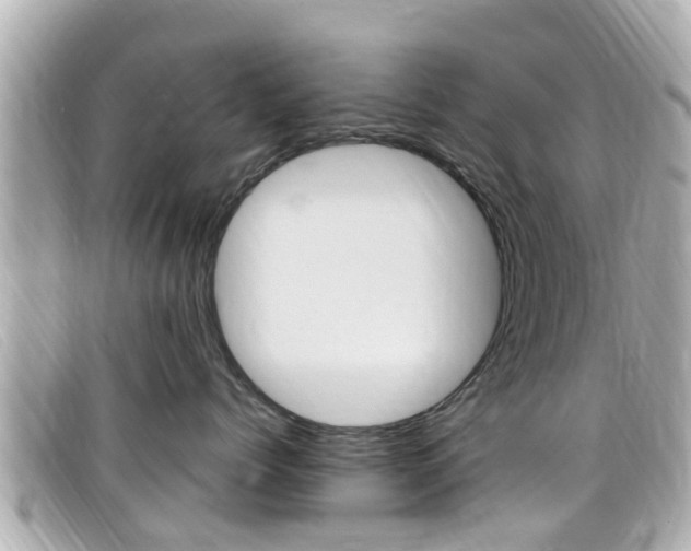 X0000099320768200805020753