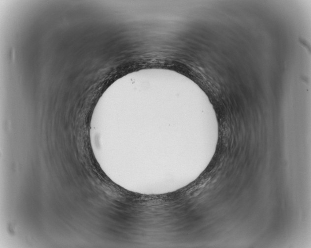 X0000099320769200805020752