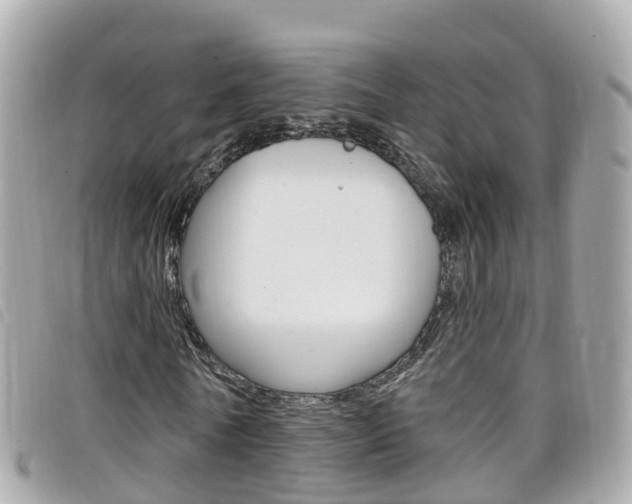 X0000099320770200805020752