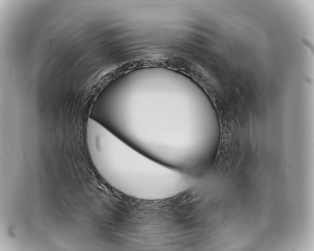 X0000099320773200805020752