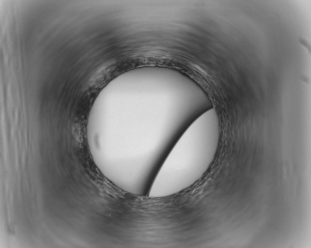 X0000099320774200805020752