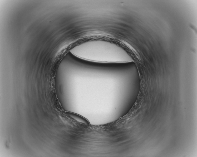 X0000099320775200805020752
