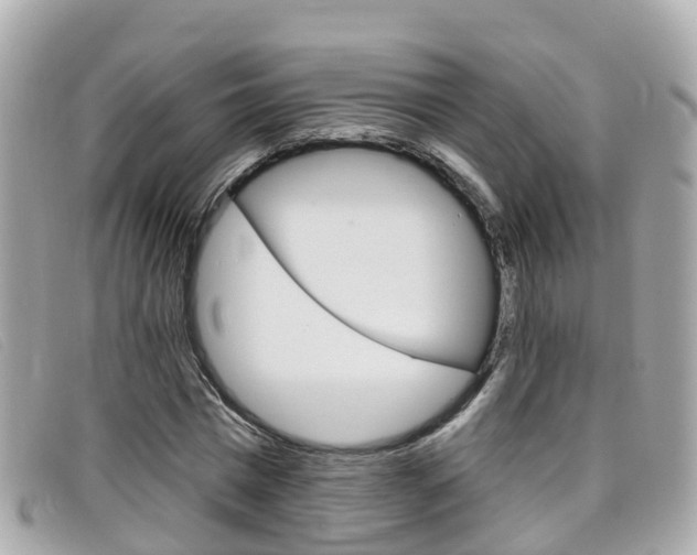 X0000099320777200805020752