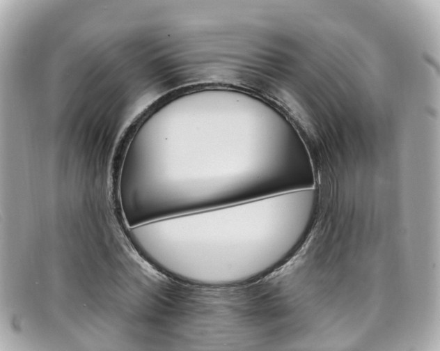 X0000099320780200805020752