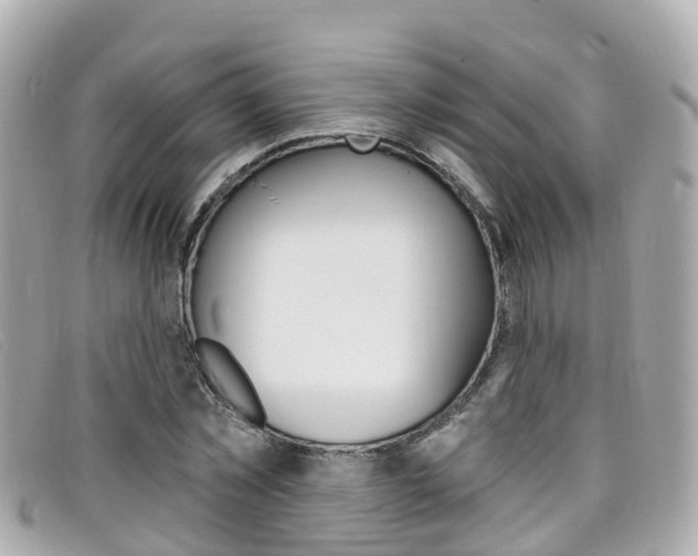 X0000099320781200805020752