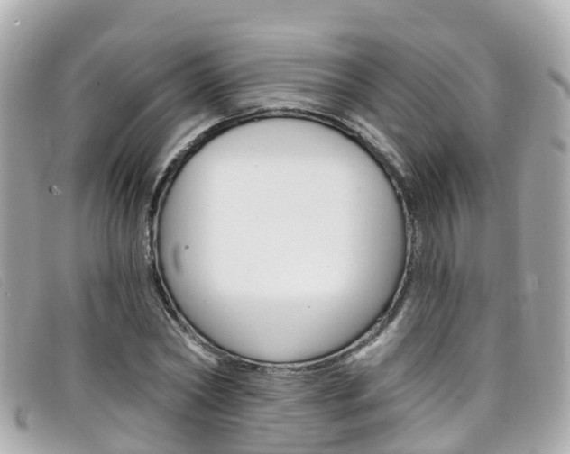 X0000099320782200805020752