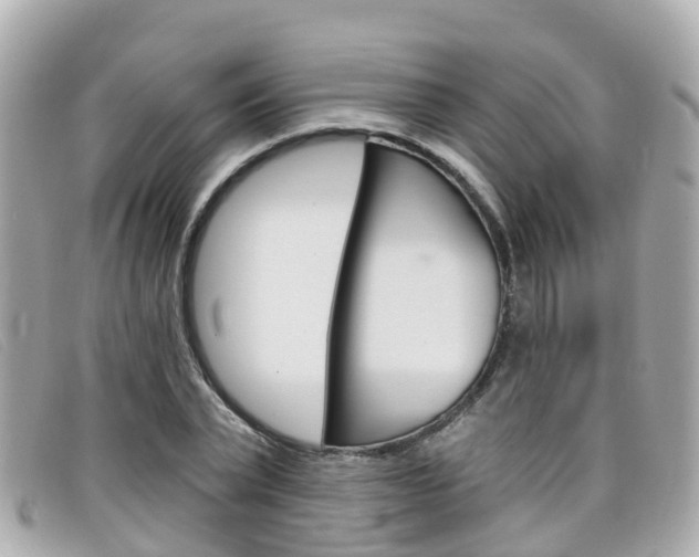 X0000099320783200805020752