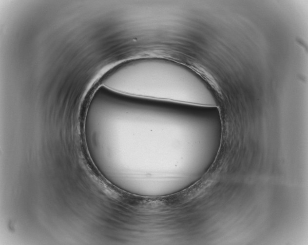 X0000099320784200805020752