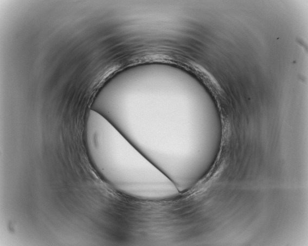 X0000099320785200805020752