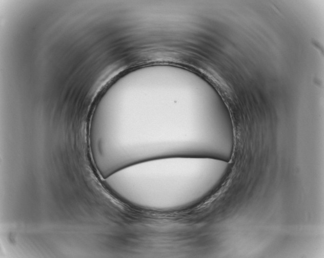 X0000099320790200805020752