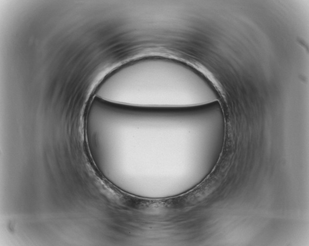 X0000099320791200805020752