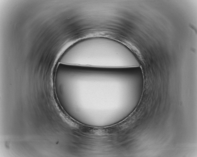 X0000099320792200805020752