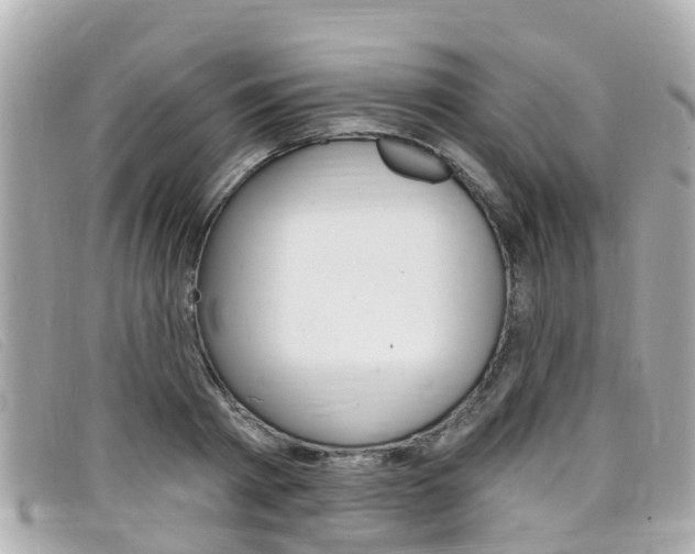 X0000099320793200805020752