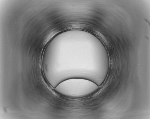 X0000099320794200805020752