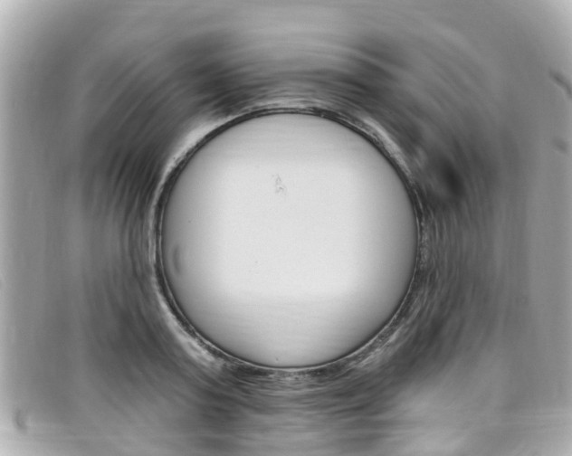 X0000099320795200805020752