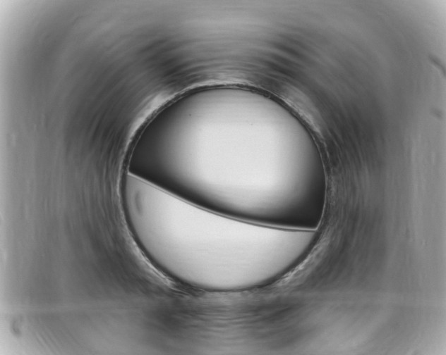 X0000099320797200805020752