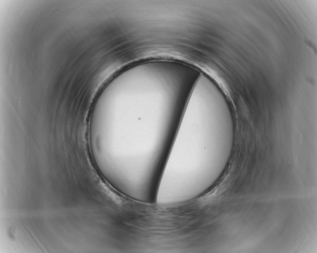 X0000099320799200805020752