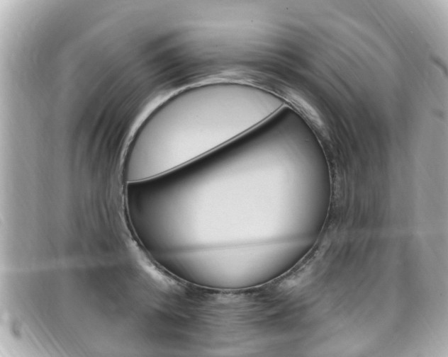 X0000099320800200805020752
