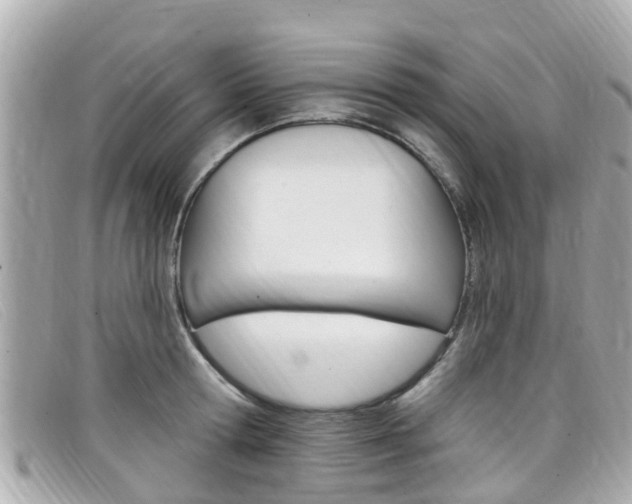 X0000099320802200805020752