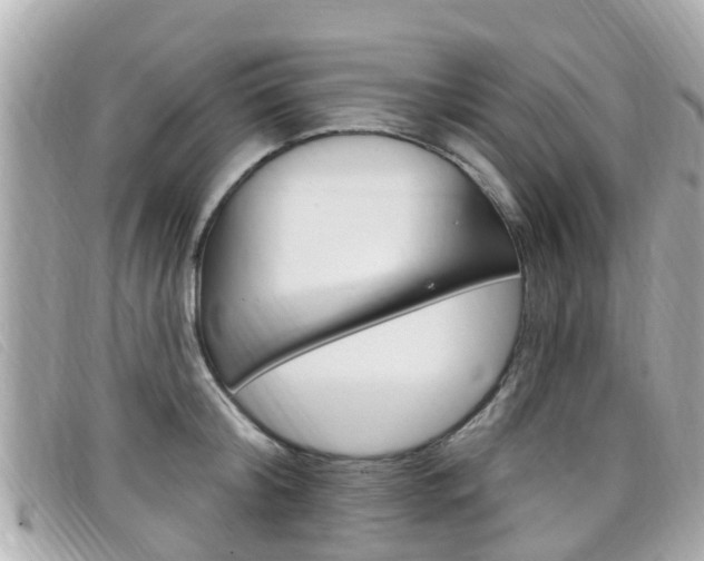 X0000099320804200805020752