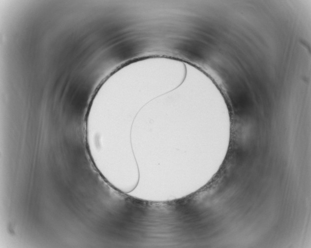 X0000099320807200805020752