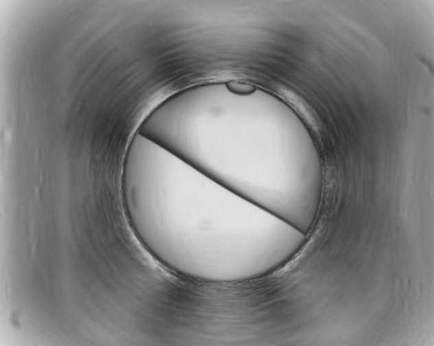 X0000099320810200805020752