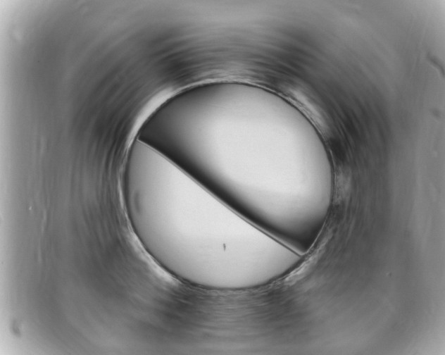 X0000099320812200805020752