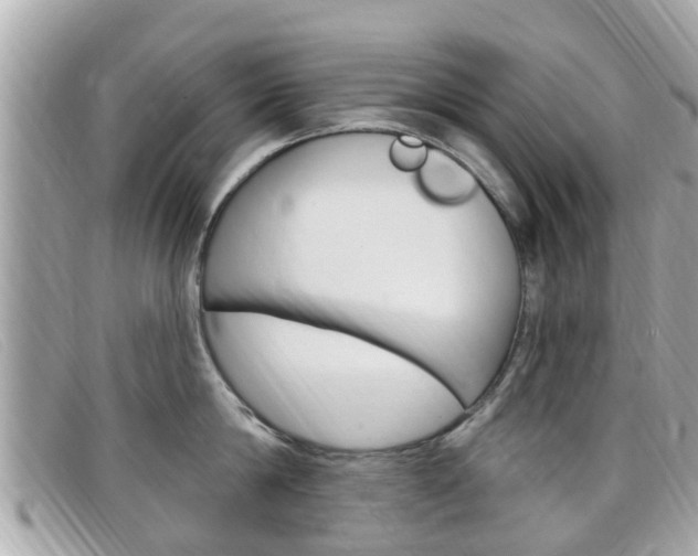 X0000099320814200805020752