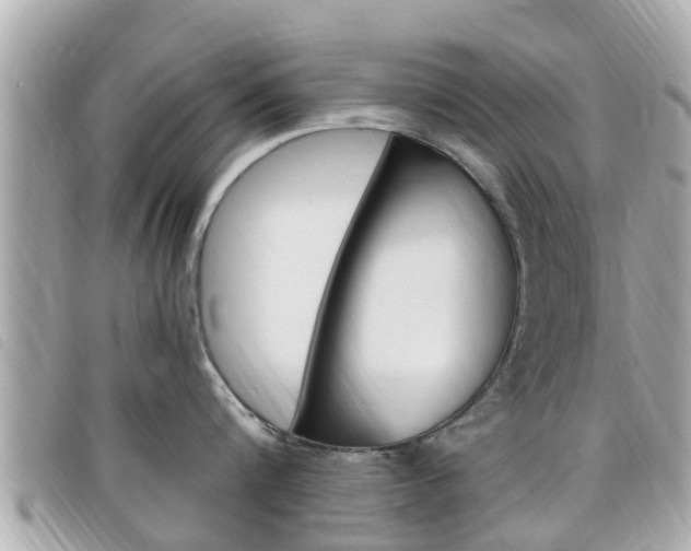 X0000099320816200805020752