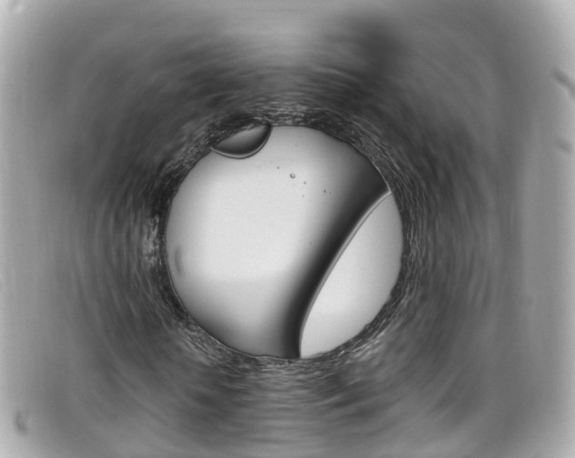 X0000099320818200805020751