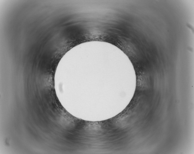 X0000099320820200805020751