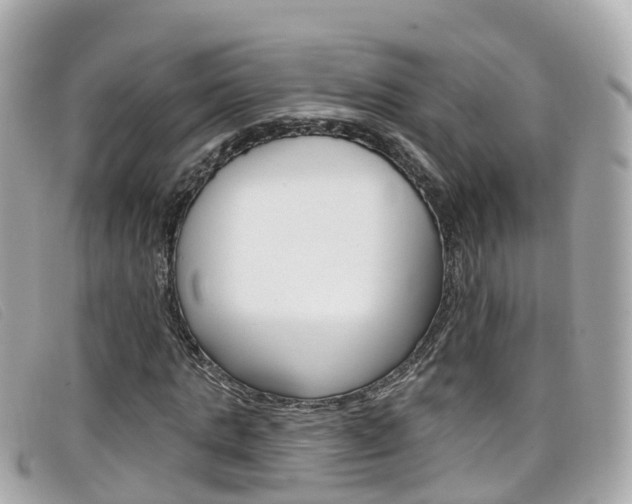 X0000099320821200805020751