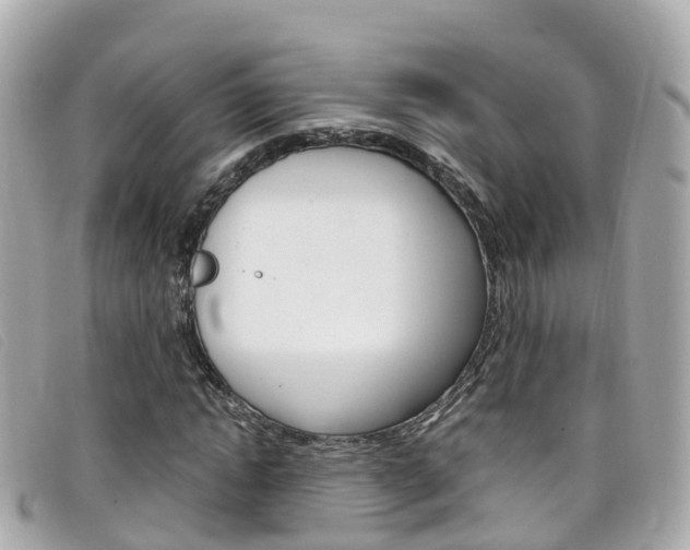 X0000099320822200805020751