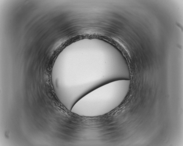 X0000099320823200805020751