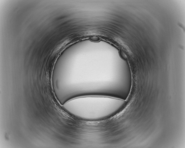 X0000099320825200805020751