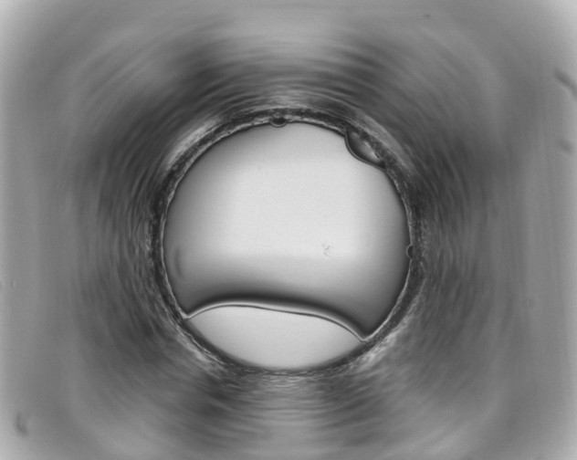 X0000099320826200805020751