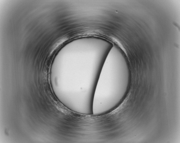 X0000099320827200805020751