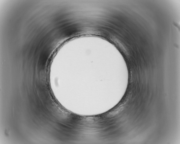 X0000099320828200805020751