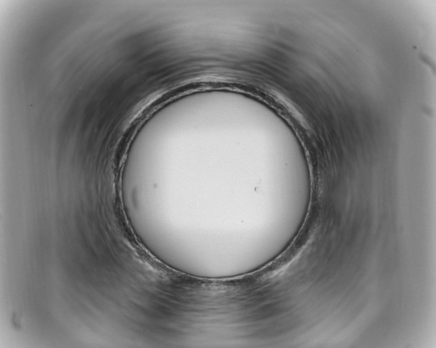 X0000099320829200805020751