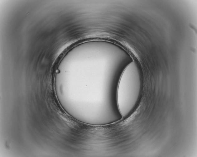 X0000099320830200805020751