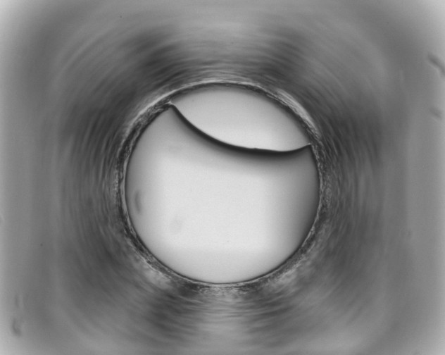 X0000099320831200805020751