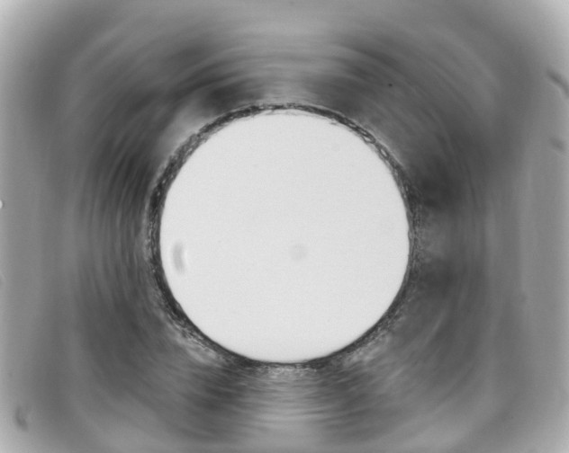 X0000099320832200805020751