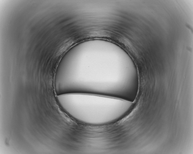 X0000099320833200805020751
